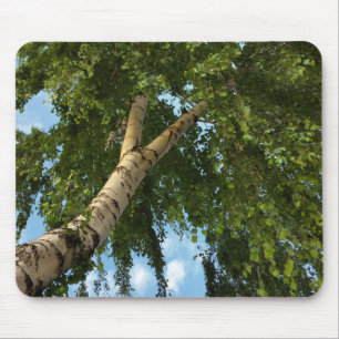 Birkenschirm Mousepad