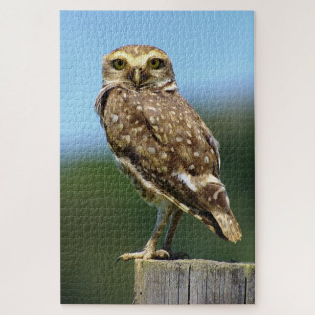 Birkenvogel Puzzle (Vertikal)