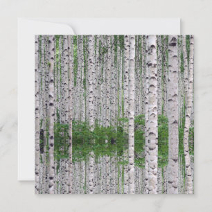 Birkenwald-Natur-Flachkarte
