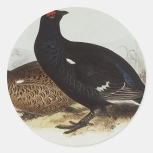 Birkhuhn Runder Aufkleber