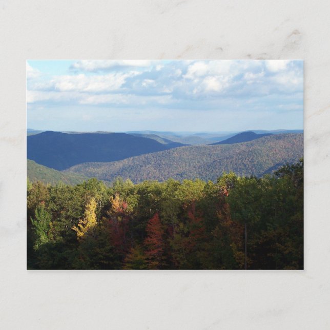 Birkshires Postkarte (Vorderseite)