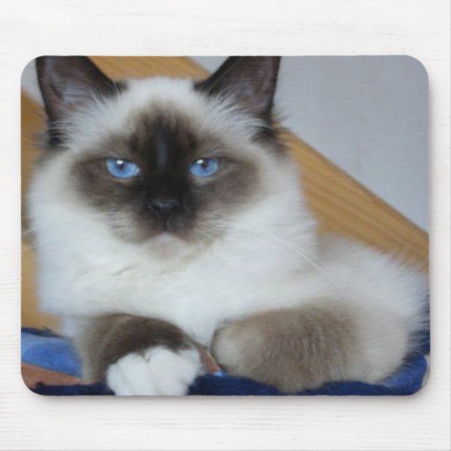 birman 2.png mousepad (Vorne)