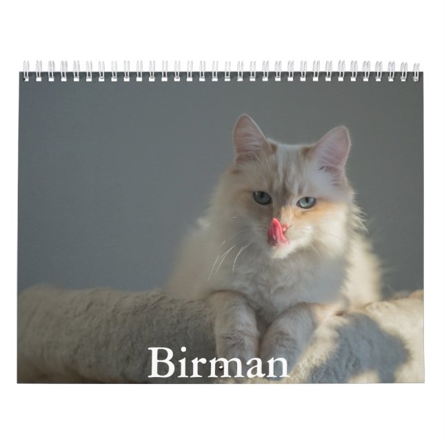 Birman Calendar Kalender (Titelbild)