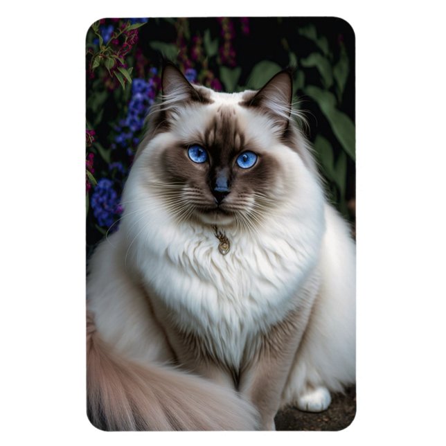Birman Cat im Garden Magnet (Vertikal)