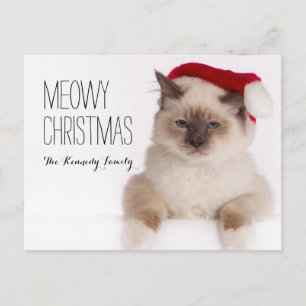 Birman Cat Santa Feiertagspostkarte