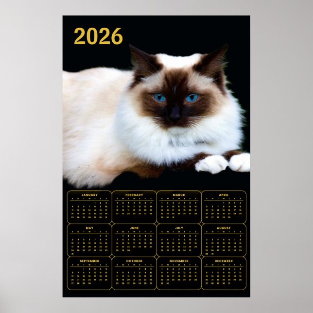 Birman-Katze 2026 Kalender  Poster (Vorne)
