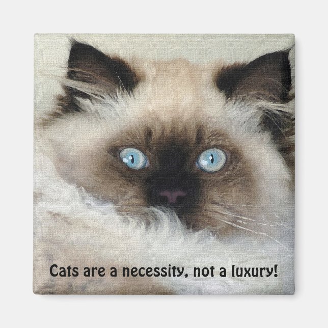 Birman - Ragdoll Cat Lover Magnet (Vorne)