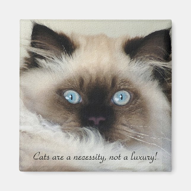 Birman - Ragdoll Cat Lover Magnet (Vorne)