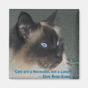 BIRMAN RAGDOLL CAT Magnet Serie