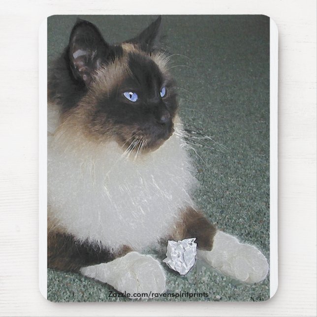 BIRMAN - RAGDOLL CAT Mousepad (Vorne)