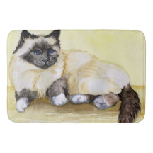 Birmanische Katze Sealpoint
