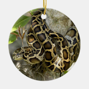 Birmanische Python Schlange in einem Baum Keramik Ornament