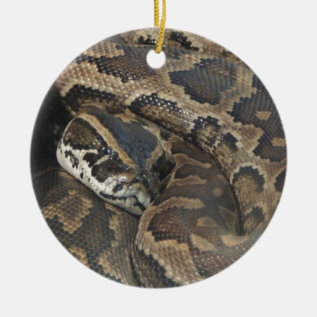 Birmanische Pythonschlange Keramik Ornament (Vorne)