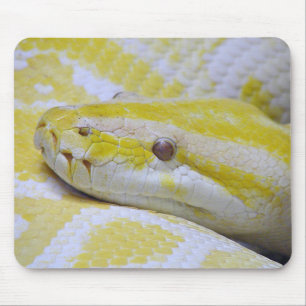 Birmanische Pythonschlange Mousepad