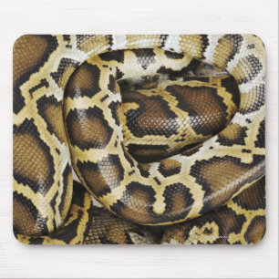Birmanische Pythonschlange Mousepad
