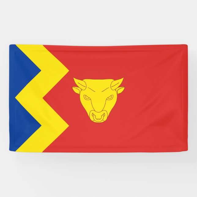 Birmingham City Flag Banner (Horizontal)