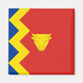 Birmingham City Flag Magnet