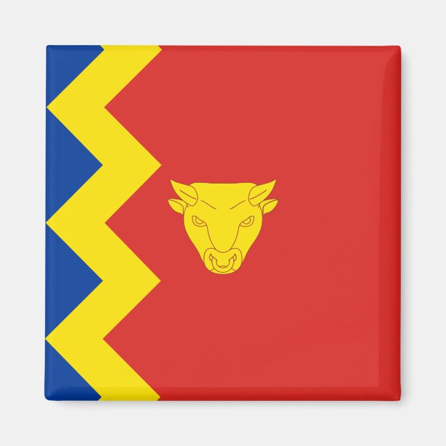 Birmingham City Flag Magnet (Vorne)