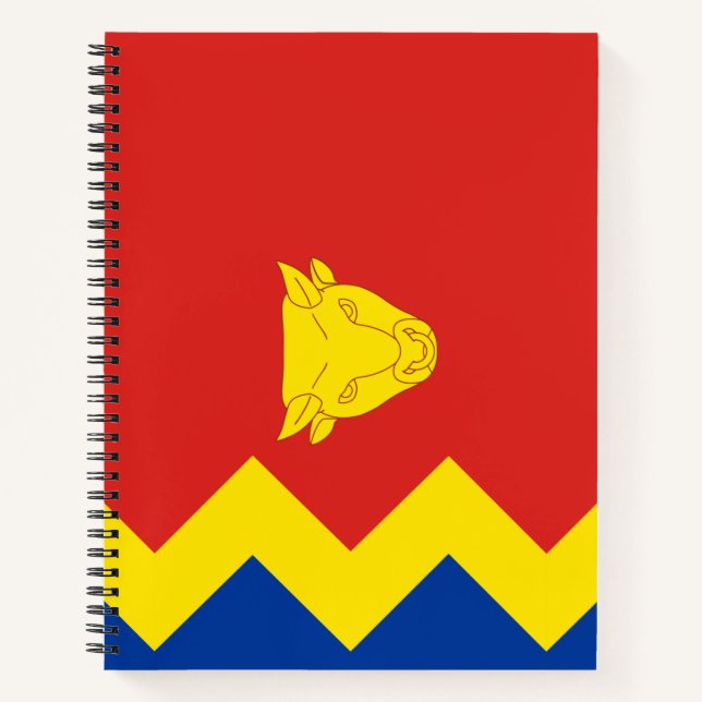 Birmingham City Flag Notizbuch (Vorderseite)
