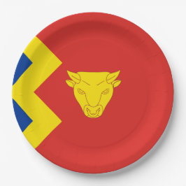 Birmingham City Flag Pappteller