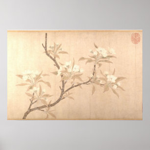 Birnblüten Antiquität Orientalisch ca.1280 Poster