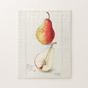 Birne (Pyrus Communis) Fruchtfarben Puzzle