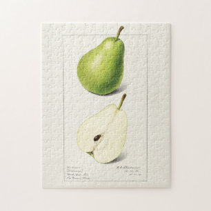 Birne (Pyrus Communis) Fruchtfarben Puzzle