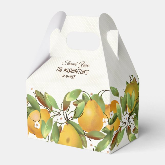 Birnen Frucht botanisch Geschenkschachtel (Vorderseite)
