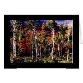 Birnen gegen Farbkarte