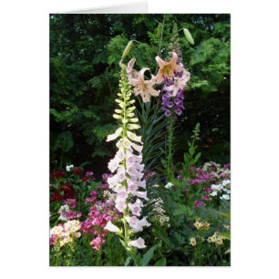 Birnen in der Blüte