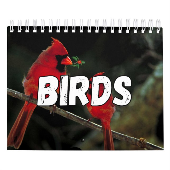 Birnen-Showcase-Sammlungs-Mauerkalender Kalender (Titelbild)