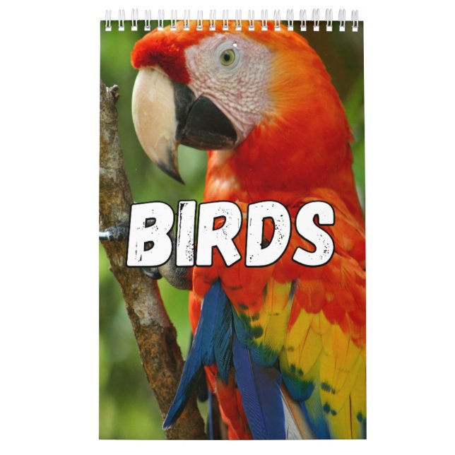 Birnen-Showcase-Sammlungs-Mauerkalender Kalender (Titelbild)