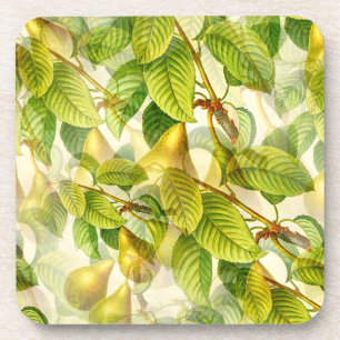 Birnenbaumzweige und Birnenmuster Getränkeuntersetzer