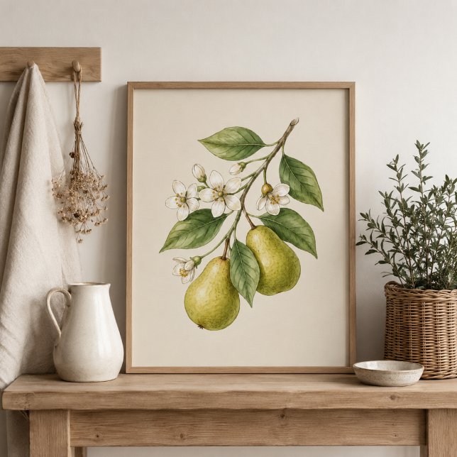 Birnenblüten Botanischer Kunstdruck Poster (Von Creator hochgeladen)