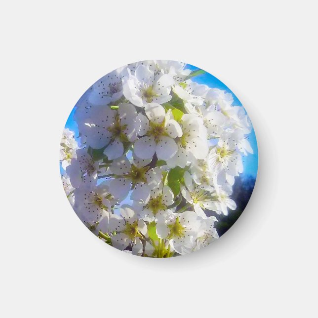 Birnenblüten Magnet (Vorne)