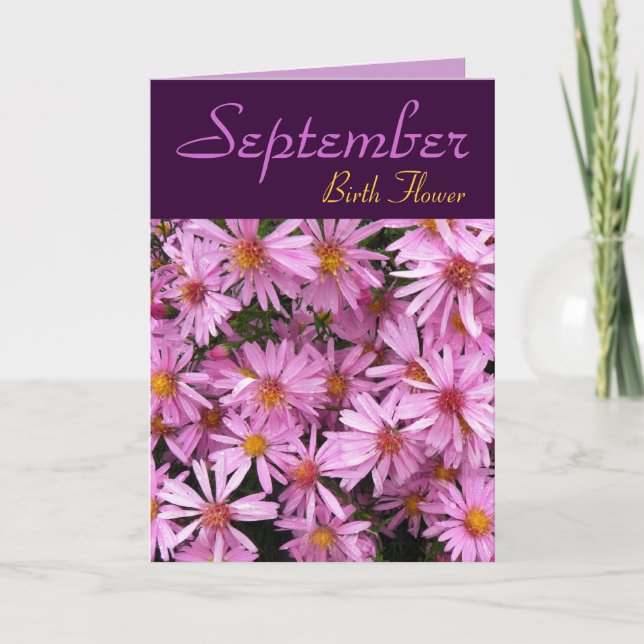 Birth Blume - Aster Note Card Karte (Vorderseite)
