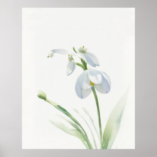 Birth Blume Januar Snowdrop Poster
