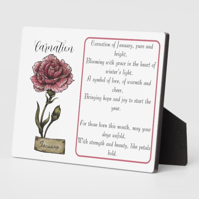 Birth Blume JANUARY Geburtstagskarnation Fotoplatte (Seite)