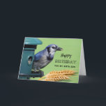 Birth Son Birthday mit Blue Jay bei Feeder Karte<br><div class="desc">Herzlichen Glückwunsch zum Geburtstag für einen Sohn. Auf dieser Geburtstagskarte zum Thema Vogel wird eine Blaue Jay an einem Vogelschleuder mit Weizenköpfen gezeigt. Tolle Karte für den Vogelliebhaber in deinem Leben. Art,  Bild und Vers Copyright © Shoaff Ballanger Studios,  2023.</div>