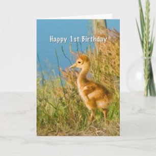 Birthday, 1st, Baby Sandhill Crane Karte