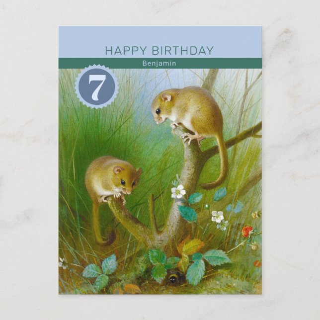 Birthday Archibald Thorburn Niedliche dormice CC01 Postkarte (Vorderseite)