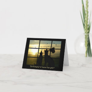 Birthday at Home Corona Virus Funny Support Karte