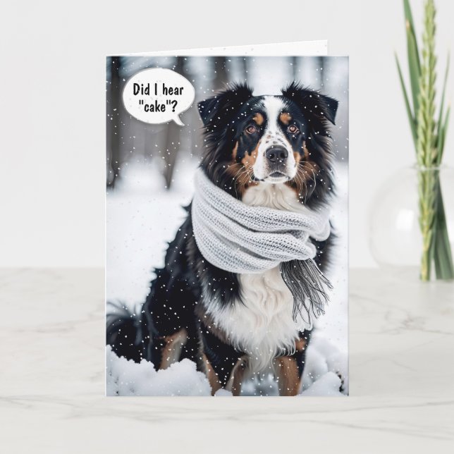 Birthday Australian Shepherd in Snowflakes Karte (Vorderseite)