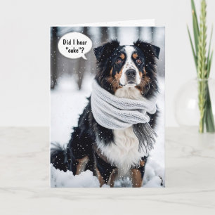Birthday Australian Shepherd in Snowflakes Karte