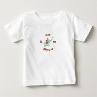 birthday baby t-shirt