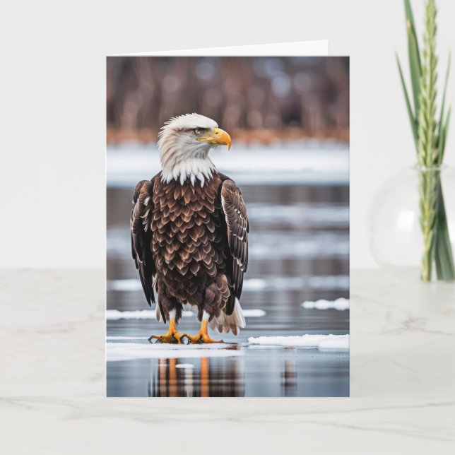 Birthday Bald Eagle on Ice Karte (Vorderseite)
