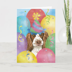 Birthday Balloons English Springer Spaniel Karte