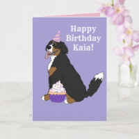 Birthday Bernese Mountain Dog