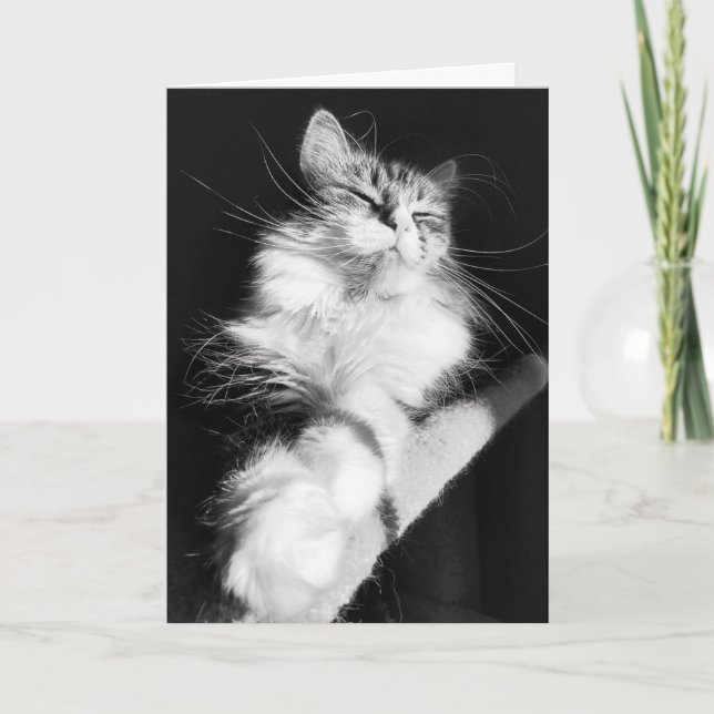 Birthday Bliss Card Karte (Vorderseite)