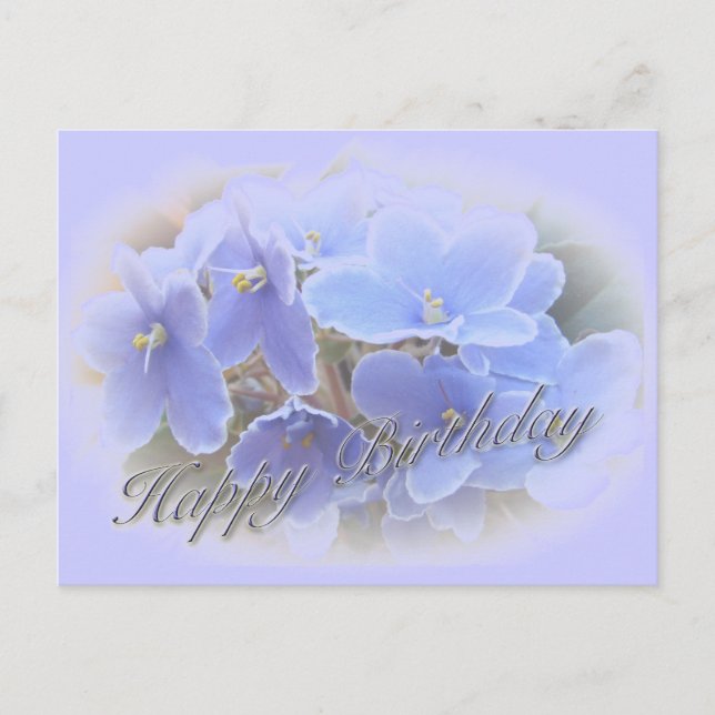 Birthday Blue African Violets Postkarte (Vorderseite)